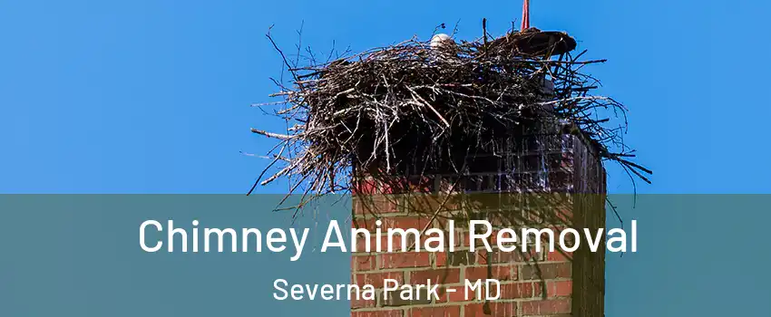 Chimney Animal Removal Severna Park - MD