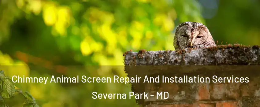  Chimney Animal Screen Repair And Installation Services Severna Park - MD