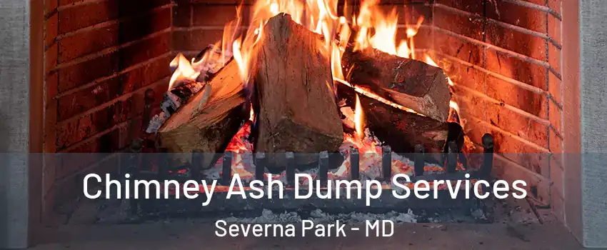  Chimney Ash Dump Services Severna Park - MD