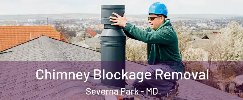  Chimney Blockage Removal Severna Park - MD