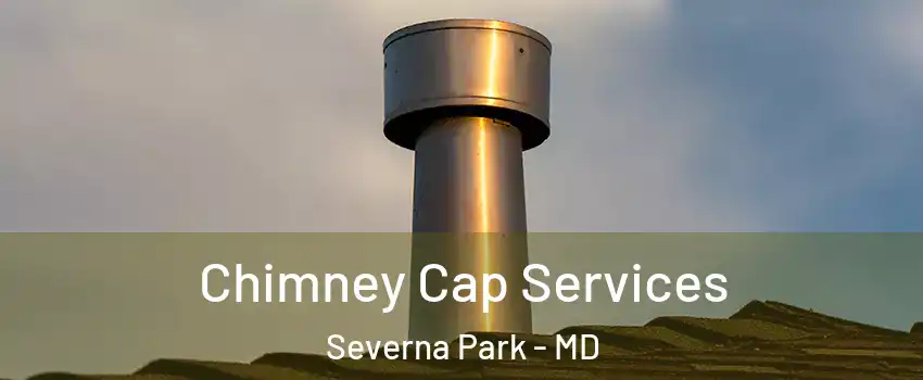  Chimney Cap Services Severna Park - MD