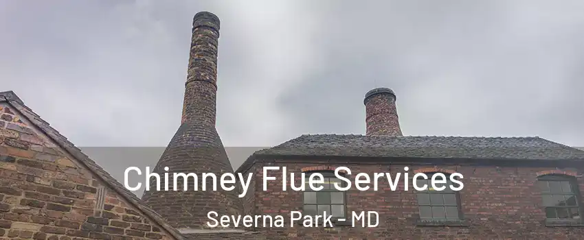  Chimney Flue Services Severna Park - MD