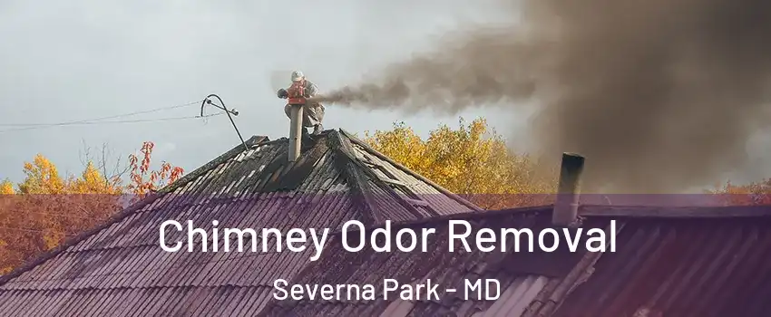  Chimney Odor Removal Severna Park - MD