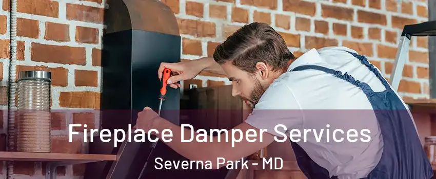  Fireplace Damper Services Severna Park - MD