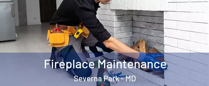  Fireplace Maintenance Severna Park - MD