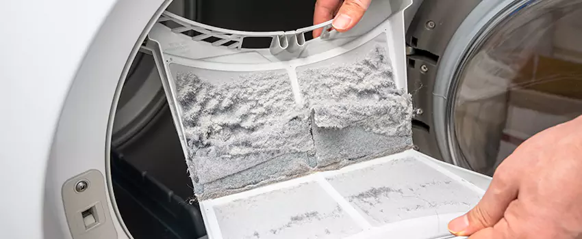 Best Dryer Lint Removal Company in Severna Park, Maryland
