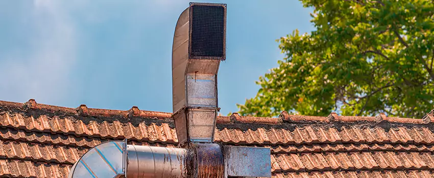 Chimney Blockage Removal in Severna Park, Maryland