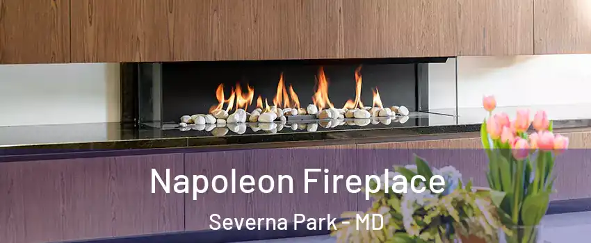  Napoleon Fireplace Severna Park - MD