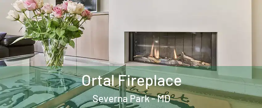 Ortal Fireplace Severna Park - MD